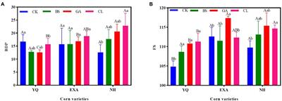 Effects of antibacterial peptide-producing Bacillus subtilis, gallic acid, and cellulase on fermentation quality and bacterial community of whole-plant corn silage